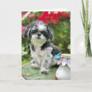 Recherche de tzu vœux cartes Chien