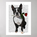 Recherche de boston terriers posters Chien d'art