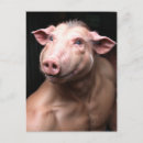 Recherche de hybride cartes postales Bizarre