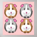 Recherche de cavy posters Mignon