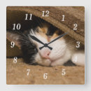 Recherche de femme chat horloges Animal