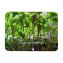 Recherche de graines magnets Jardin