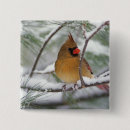 Recherche de cardinal du nord badges Neige