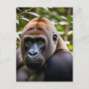 Recherche de gorille cartes postales Chimpanzé
