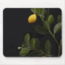 Recherche de fin gourmet tapis souris Éléments nutritifs