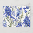 Recherche de delphinium cartes postales Floral