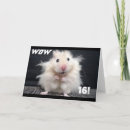 Recherche de hamsters vœux cartes Pour enfants