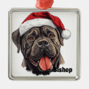 Recherche de corso de canne ornements Noël