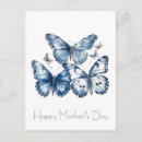 Recherche de papillons bleus cartes postales Mother