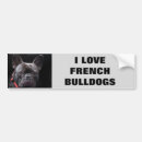 Recherche de bouledogue francais voiture autocollants Français
