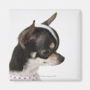 Recherche de concentration magnets Vertical