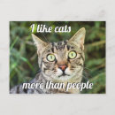 Recherche de yeux verts chat cartes postales Chaton