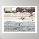 Recherche de photography posters Animals