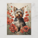 Zoek naar yorkshire terriers briefkaarten For her