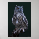 Recherche de eurasien posters Animal