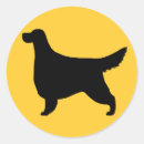 Recherche de gordon setter autocollants Amoureux des chiens