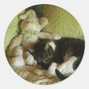 Recherche de minous autocollants Animaux