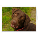 Recherche de hershey Chocolat