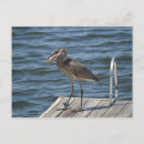 Recherche de héros cartes postales Nature