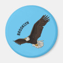 Recherche de rapaces magnets Dessin