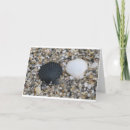 Zoek naar sea shells briefkaarten Schalen