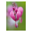 Zoek naar gebroken hart kunst Roze