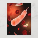 Recherche de choléra Cellule