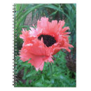 Recherche de poppy carnets Fleurs