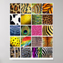 Recherche de motif léopard posters Faune