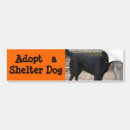 Recherche de société humanitaire voiture autocollants Chien