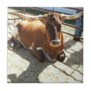 Recherche de ranch photographie Nature