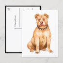 Recherche de chien pitbull cartes postales Dog