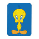 Recherche de tweety magnete Loney toon