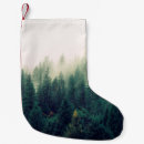 Recherche de palmiers chaussette de noël Arbres