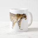 Recherche de tigres tasses Faune