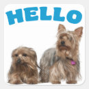 Recherche de yorkshire terrier autocollants Chien