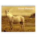 Recherche de chevaux de deux calendriers Poulains
