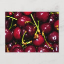 Recherche de fruits rouges cartes postales Fruit rouge