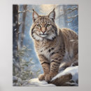 Recherche de lynx posters Faune