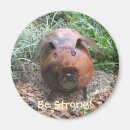 Recherche de diététique magnets Alimentation