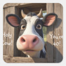 Recherche de humour vache autocollants Ferme