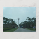 Recherche de dauphins cartes postales Nature