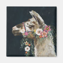 Zoek naar lama magnets magneten Lama's
