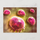 Recherche de biologique cartes postales Orange