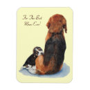 Recherche de beagles mignons Pour elle