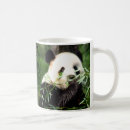 Recherche de ours panda géant tasses Bambou