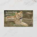 Recherche de lions cartes visite Prédateur