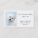 Recherche de la frise cartes visite Bichon
