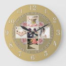 Recherche de anniversary year Roses