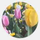 Recherche de tulipe jaune autocollants Plante